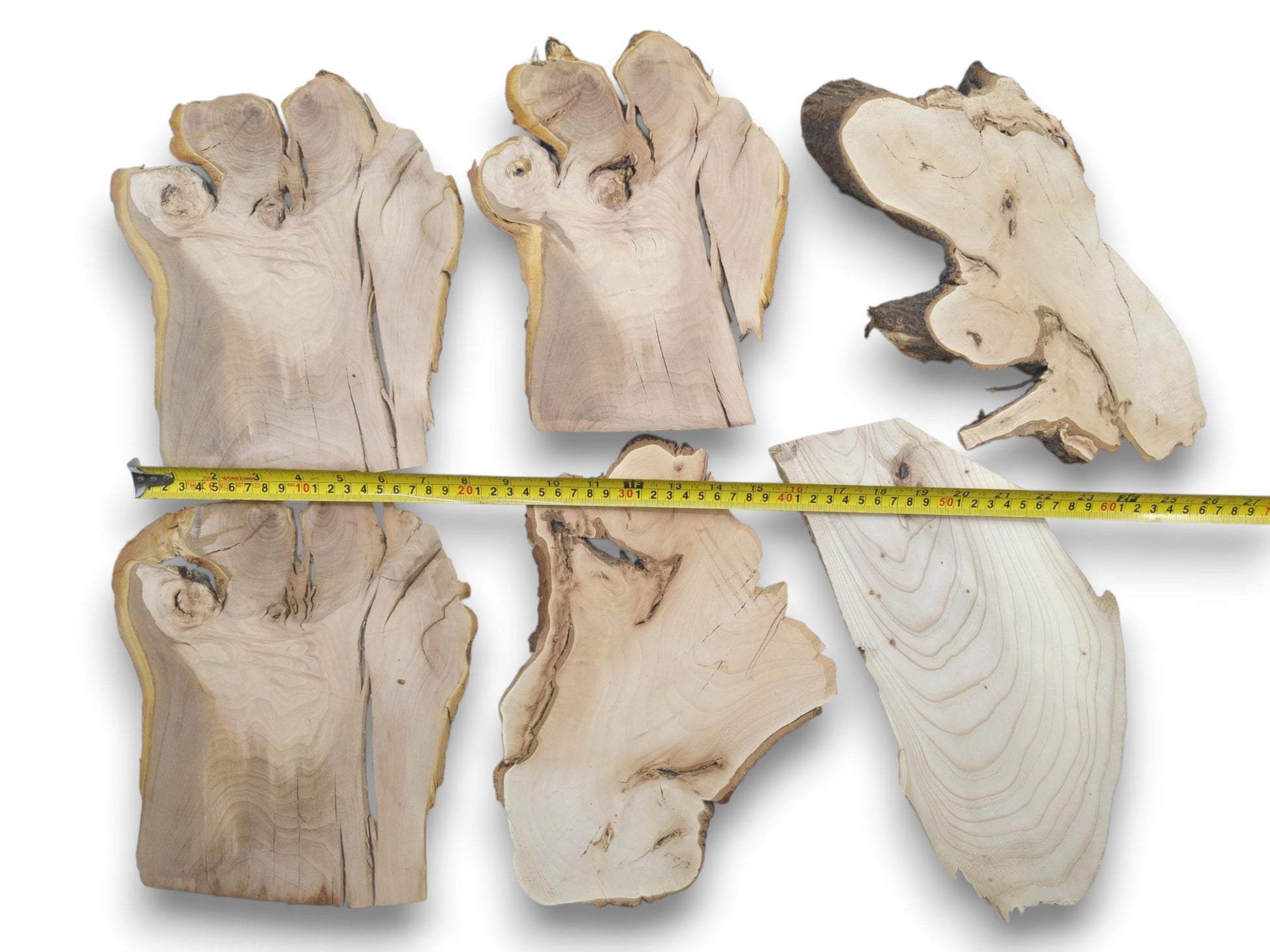 Six irregularly shaped cherry alder and linden wood slices with a yellow measuring tape.