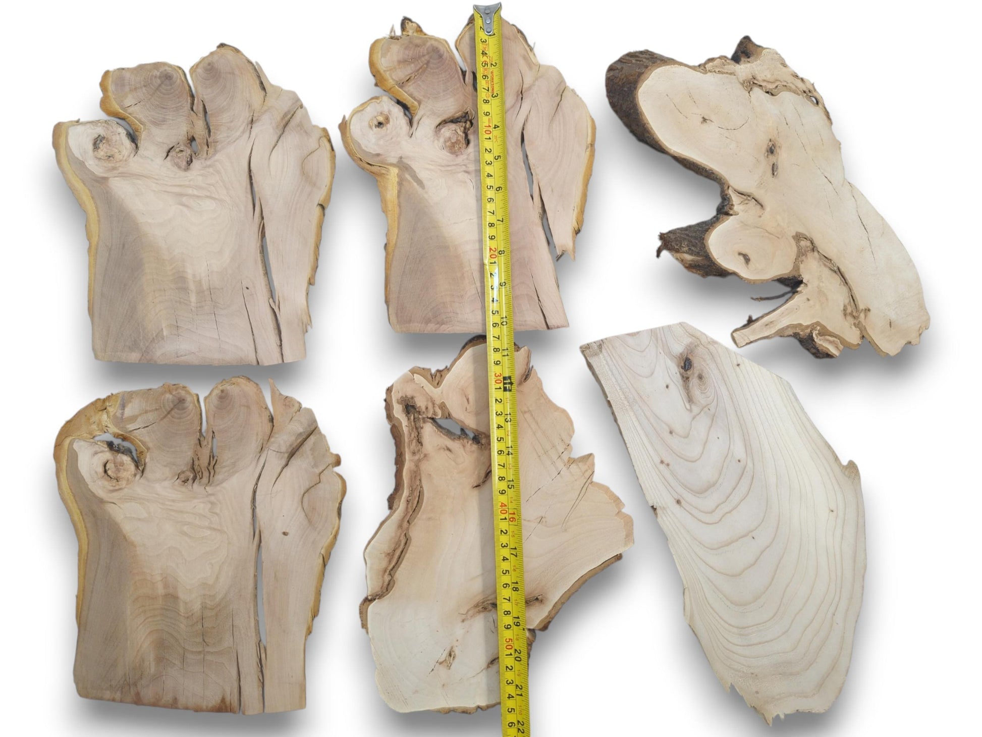Six irregularly shaped cherry alder and linden wood slices with a yellow measuring tape.