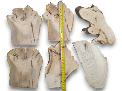 Six irregularly shaped cherry alder and linden wood slices with a yellow measuring tape.