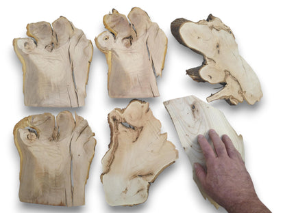 Six irregularly shaped wood slices with natural edges and a hand touching one piece.