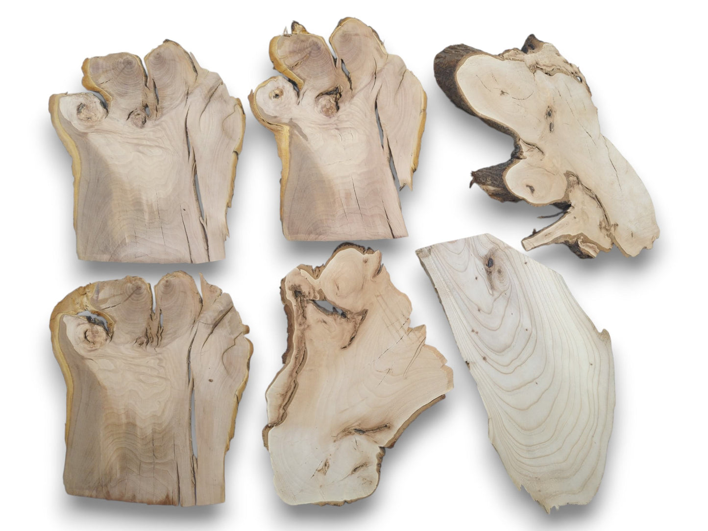 Six light-colored, irregularly shaped wood slices with natural live edges and visible grain patterns.