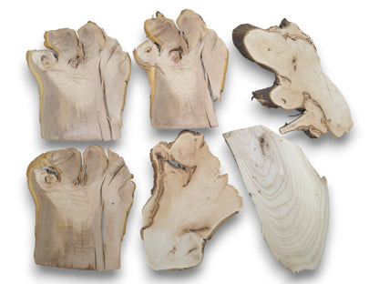 Six light-colored, irregularly shaped wood slices with natural live edges and visible grain patterns.