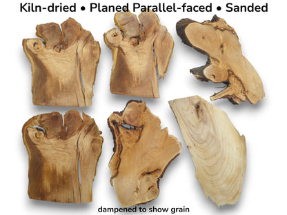 Six kiln-dried, planed, and sanded cherry alder and linden wood slices with natural edges.