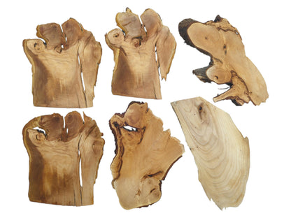 Six irregularly shaped cherry alder and linden wood slices with natural live edges and visible grain.