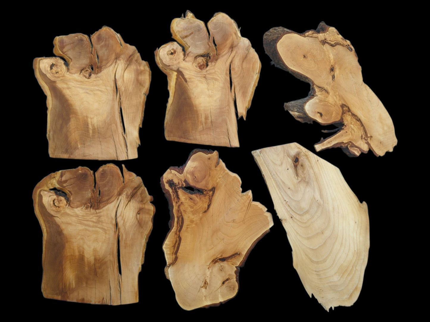 Six irregularly shaped cherry alder and linden wood slices with natural edges and visible grain.