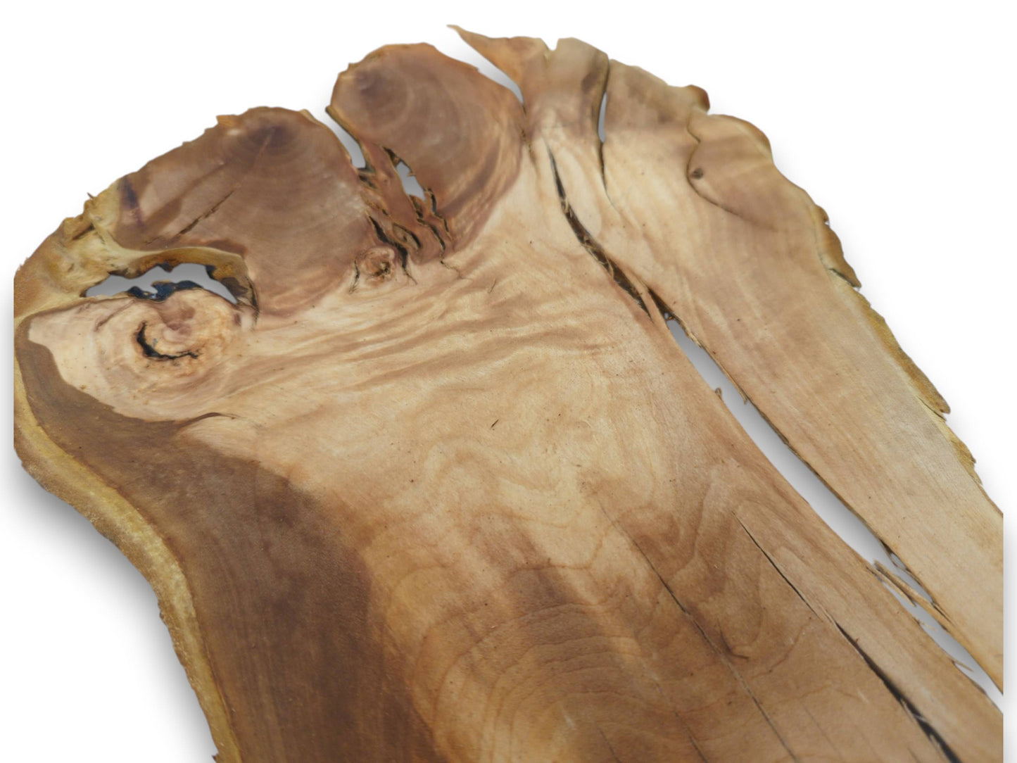 Close-up of a single, light brown wood slice with natural live edges and prominent cracks.