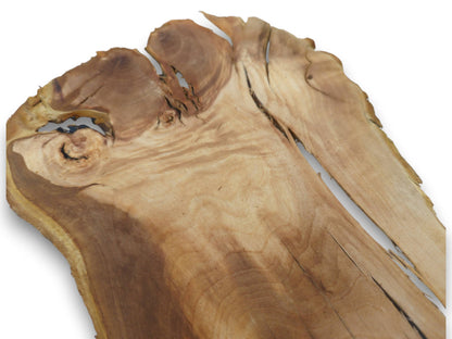Close-up of a single, light brown wood slice with natural live edges and prominent cracks.