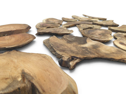 A close-up, high-angle view of many assorted, natural-edged wood slices on a white surface.