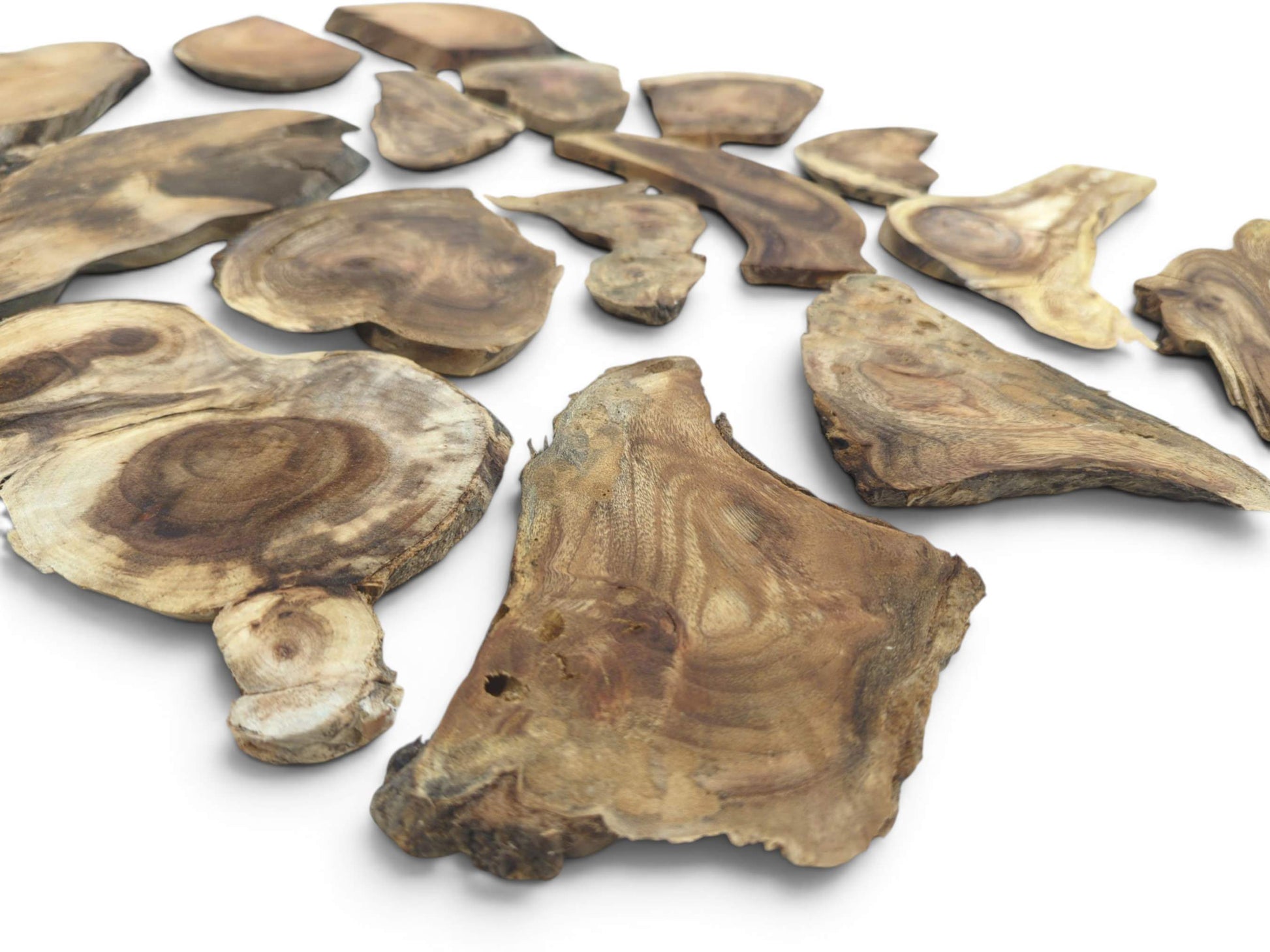An overhead view of many assorted, natural-edged wood slices with visible grain on a white surface.