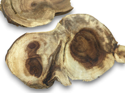 Two irregularly shaped wood slices with visible growth rings and dark brown heartwood on white.