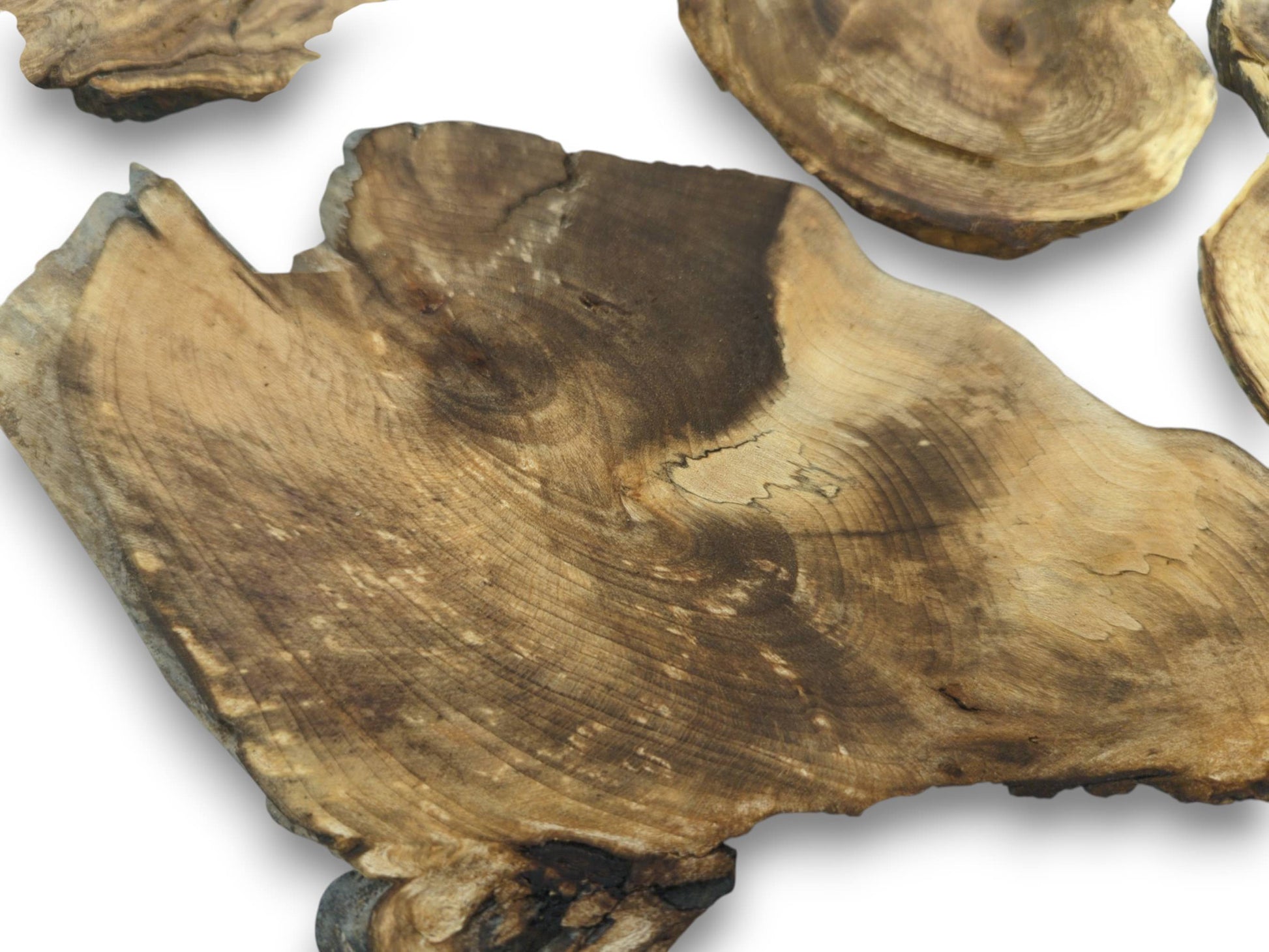 An overhead view of several irregularly shaped wood slices with visible growth rings and grain.