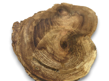 An overhead view of a single, irregularly shaped acacia wood slice with visible growth rings.