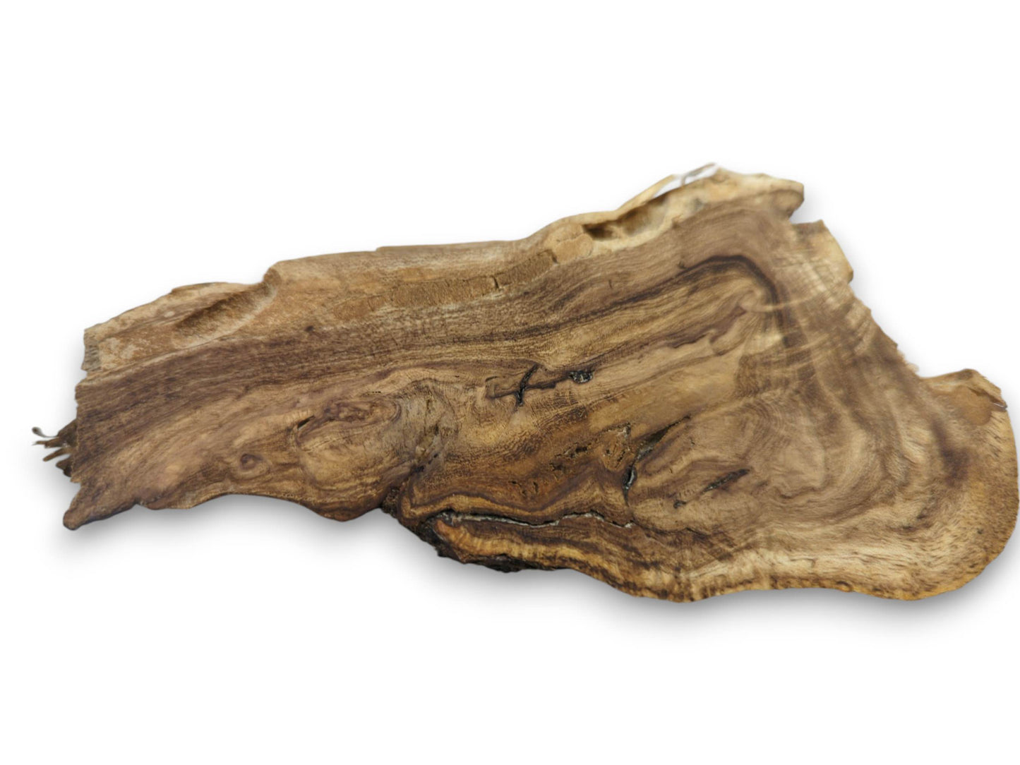 An overhead view of a single, irregularly shaped wood slice with visible grain and natural edges.
