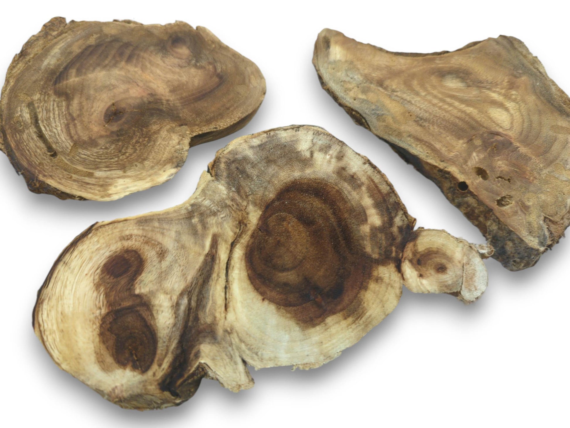 Three irregularly shaped, sanded wood slices with prominent grain and dark knots on a white background.