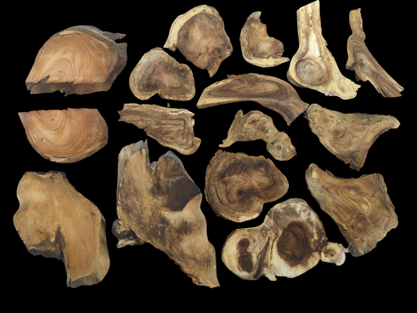 Overhead view of eighteen assorted, irregularly shaped wood slices with prominent grain on black background.