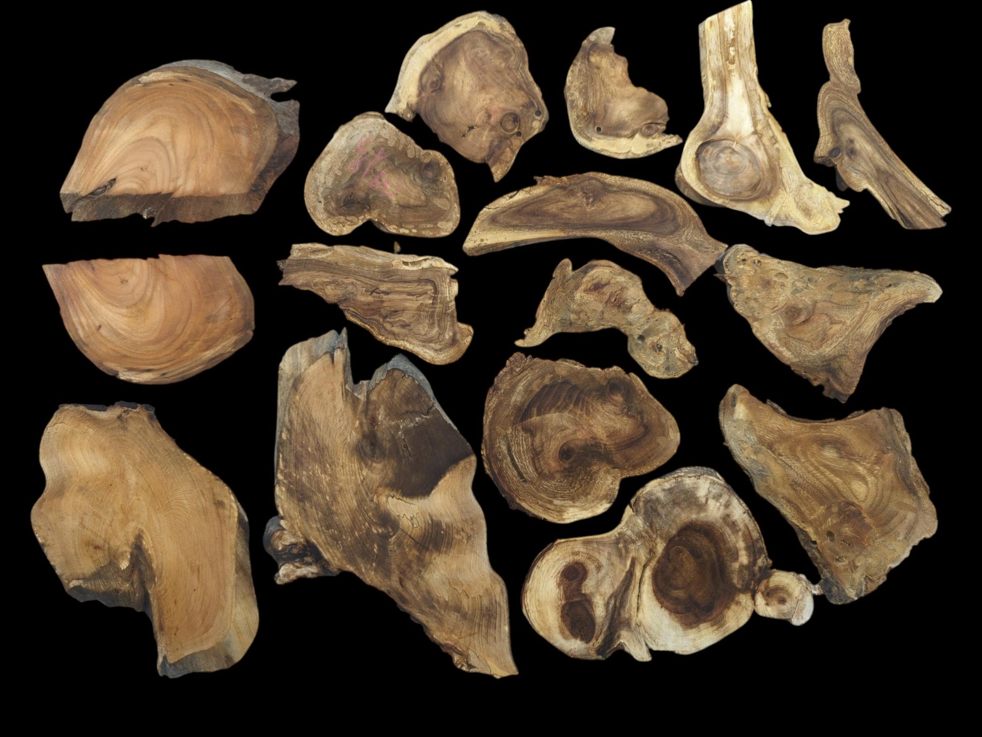 Overhead view of eighteen assorted, irregularly shaped wood slices with prominent grain on black background.