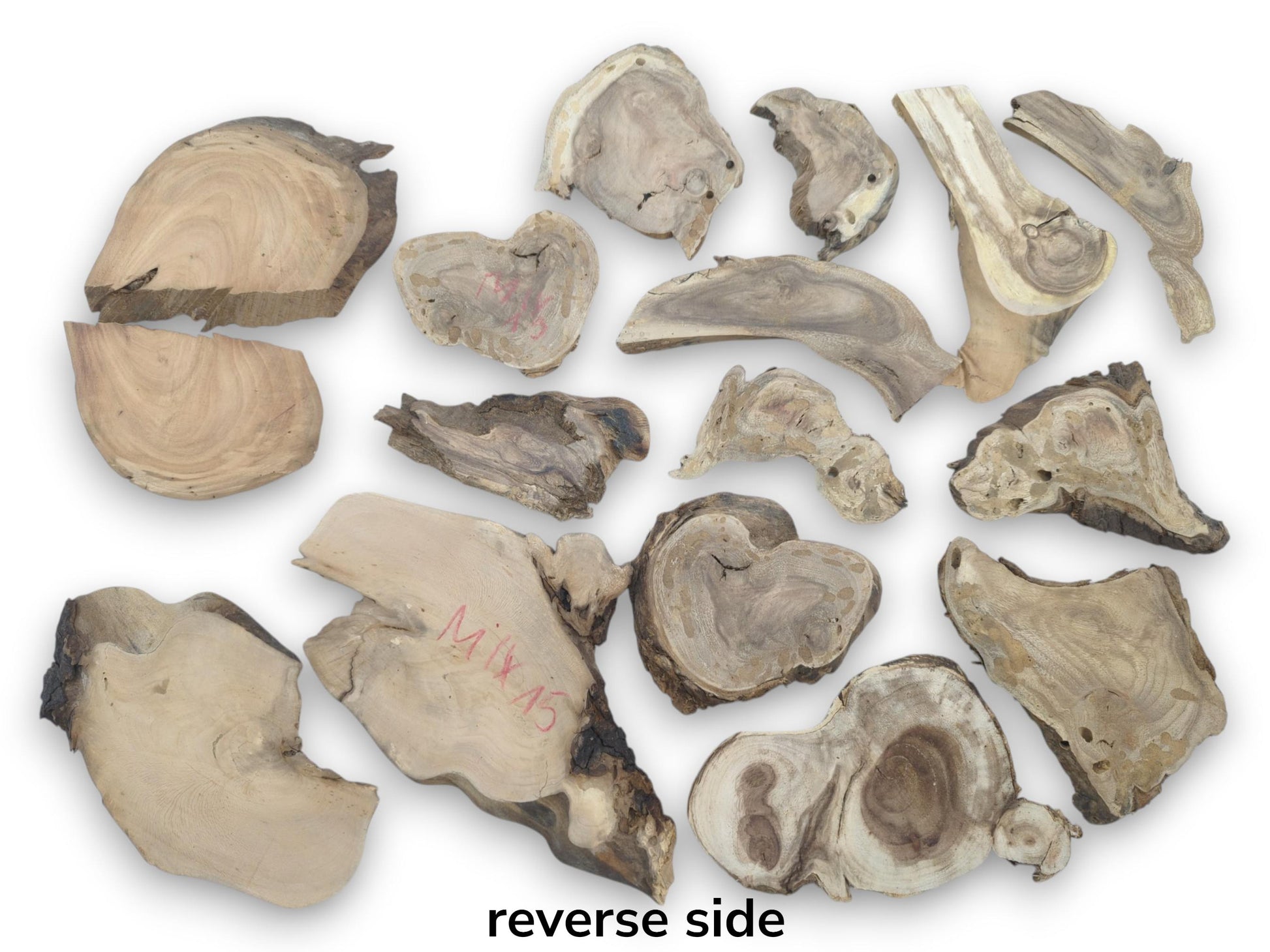 Overhead view of eighteen assorted, irregularly shaped wood pieces with prominent grain on white.