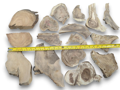 Overhead view of many assorted, irregularly shaped, light-colored wood pieces with prominent grain.