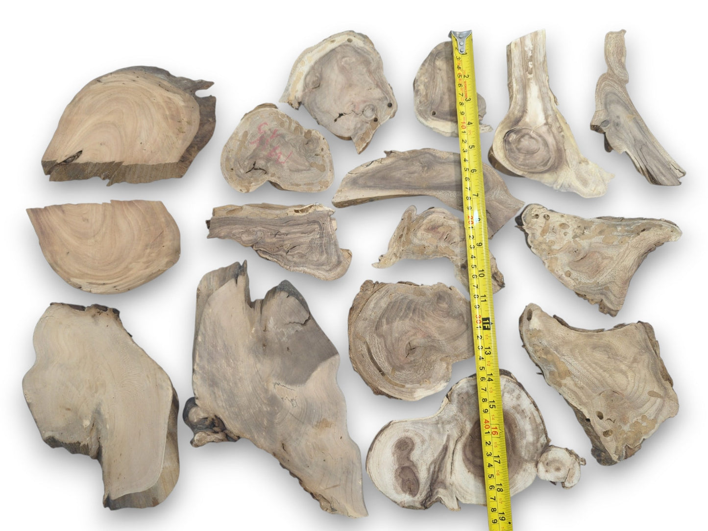 Overhead view of eighteen assorted, irregularly shaped wood pieces with prominent grain on white.