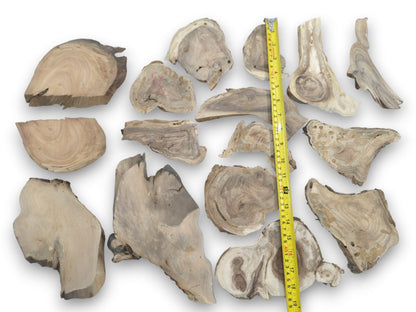 Overhead view of eighteen assorted, irregularly shaped wood pieces with prominent grain on white.