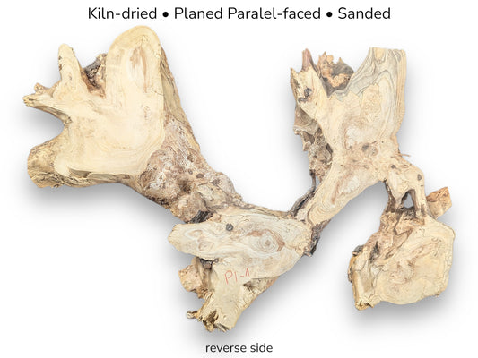Light-colored, gnarled pine root wood slice, reverse side, showing kiln-dried, planed, and sanded preparation details.