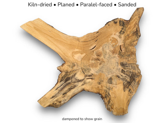 Top view of irregular golden-brown pine root slice with dark streaks and descriptive text overlay.