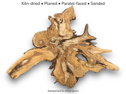 Irregular shaped pine root slice displaying golden-brown grain patterns with text overlays detailing wood preparation.