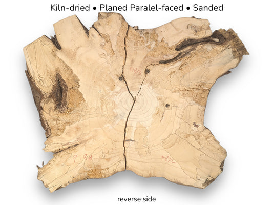 Irregular pale pine root wood slice, featuring a central crack, grain, rough edges, and descriptive text.