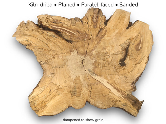 Irregular pine root slice displaying visible grain patterns and cracks with text overlay detailing preparation steps.