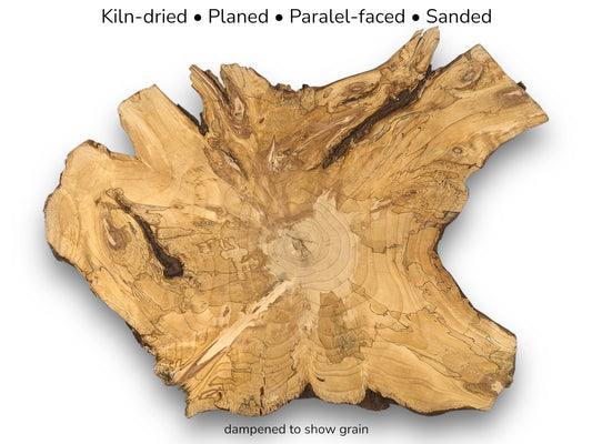 Image with text details displaying irregular beige pine root slice with distinct brown grain patterns.