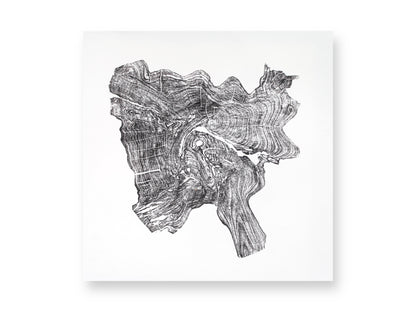 Depicting an irregular tree root slice impression, this black monoprint shows detailed wood grain on white paper.