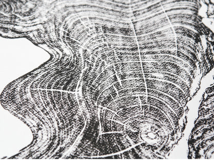 Black woodcut monoprint showing detailed tree rings and radial lines on white paper.