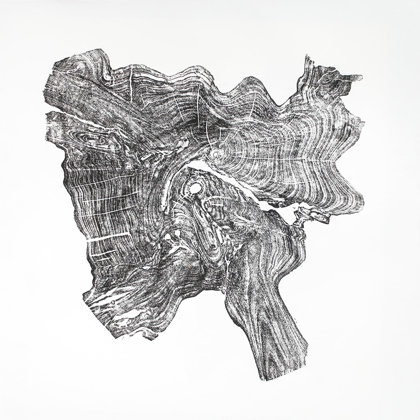 Irregularly shaped black ink woodcut monoprint showing intricate tree root rings and textures on white paper.
