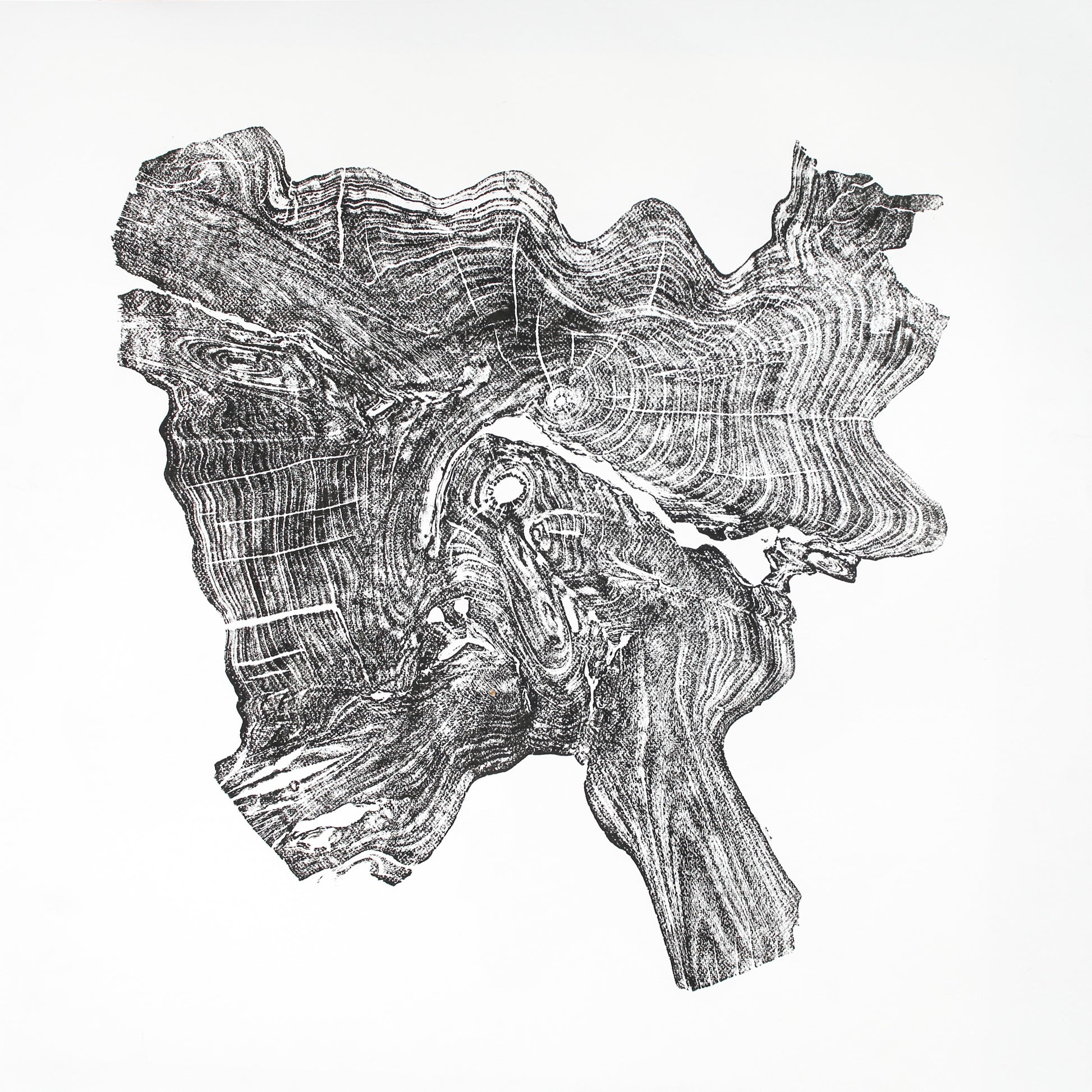 Irregularly shaped black ink woodcut monoprint showing intricate tree root rings and textures on white paper.