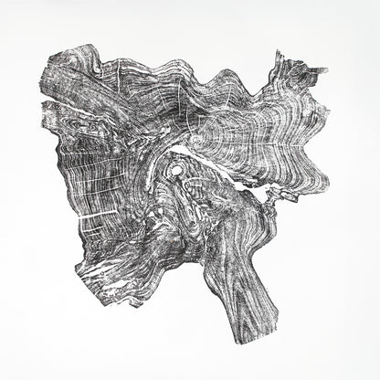 Irregularly shaped black ink woodcut monoprint showing intricate tree root rings and textures on white paper.