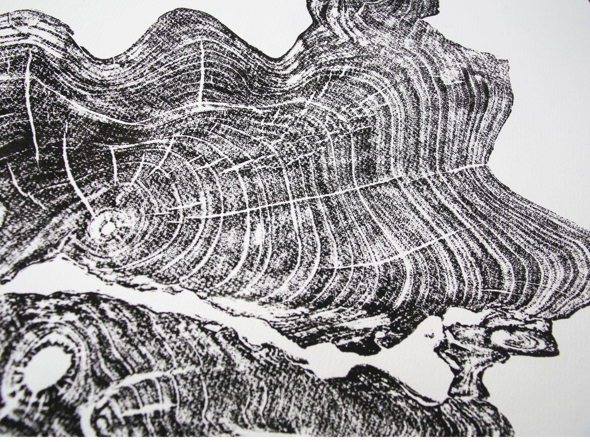 Close-up shows a black ink print of a tree root slice with textured rings on white paper.