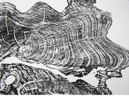 Close-up shows a black ink print of a tree root slice with textured rings on white paper.