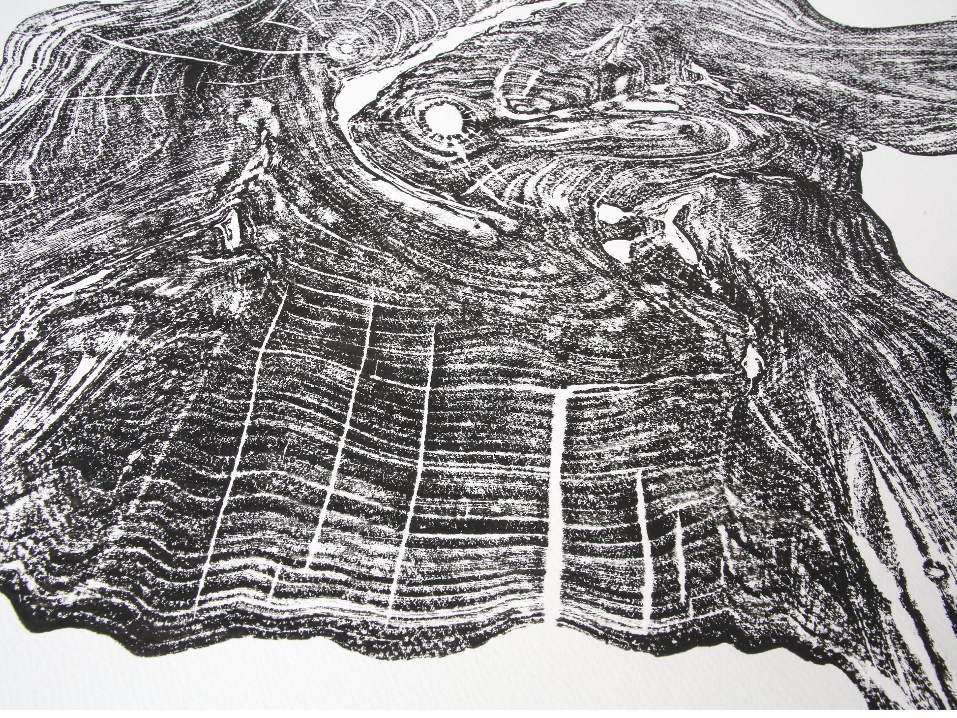 Detailed black woodcut monoprint with intricate, swirling tree rings and organic textures on white paper.