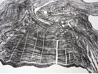 Detailed black woodcut monoprint with intricate, swirling tree rings and organic textures on white paper.