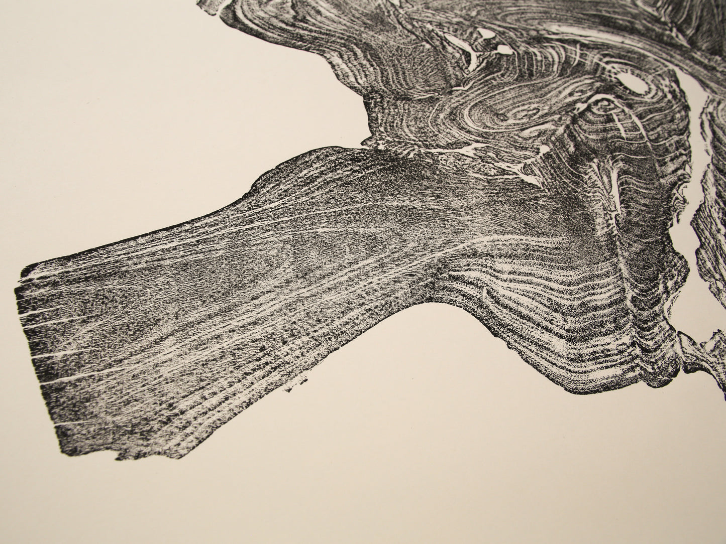Black, textured monoprint showing an irregular tree root slice impression with wood grain on cream paper.