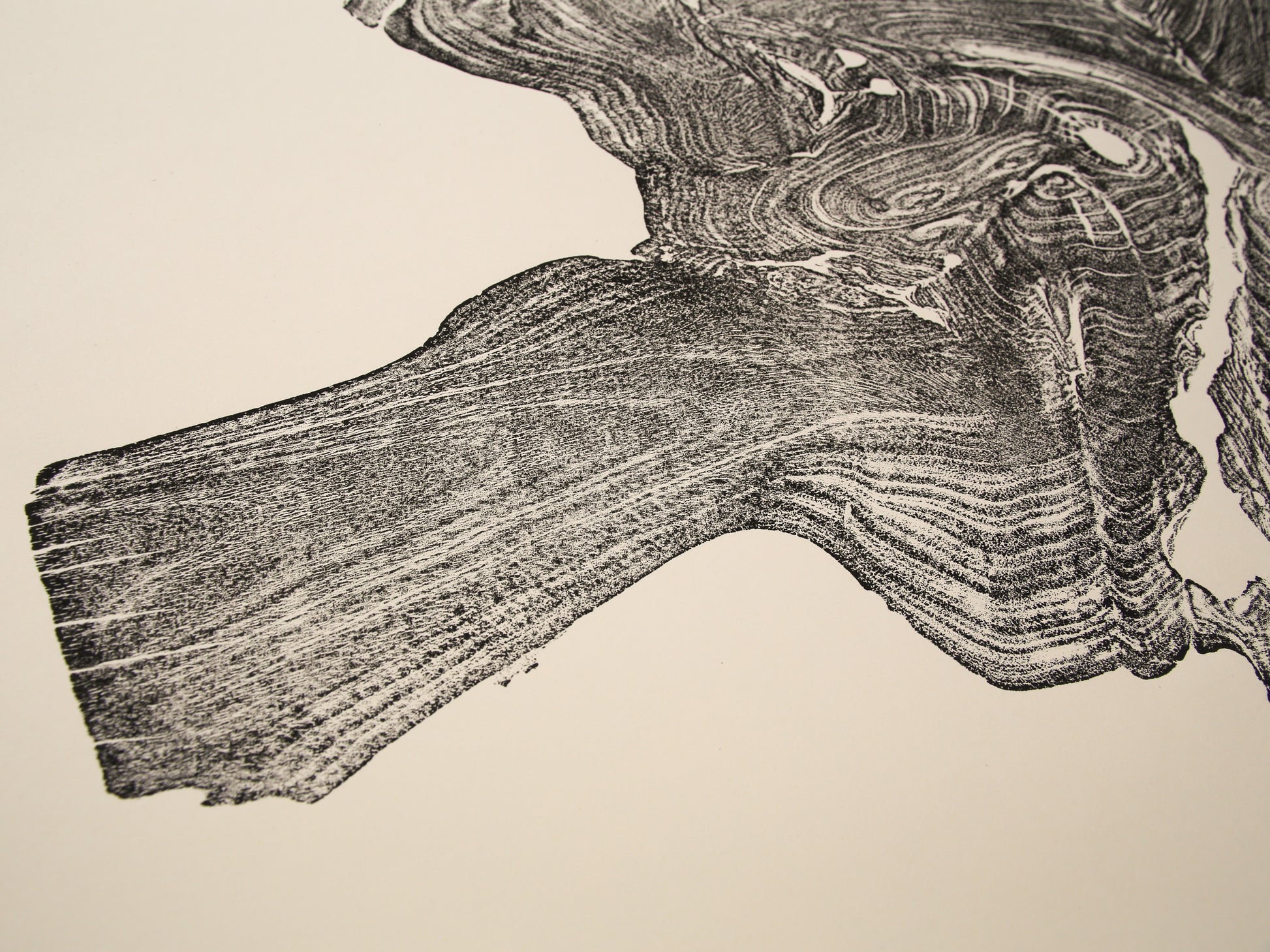 Black, textured monoprint showing an irregular tree root slice impression with wood grain on cream paper.