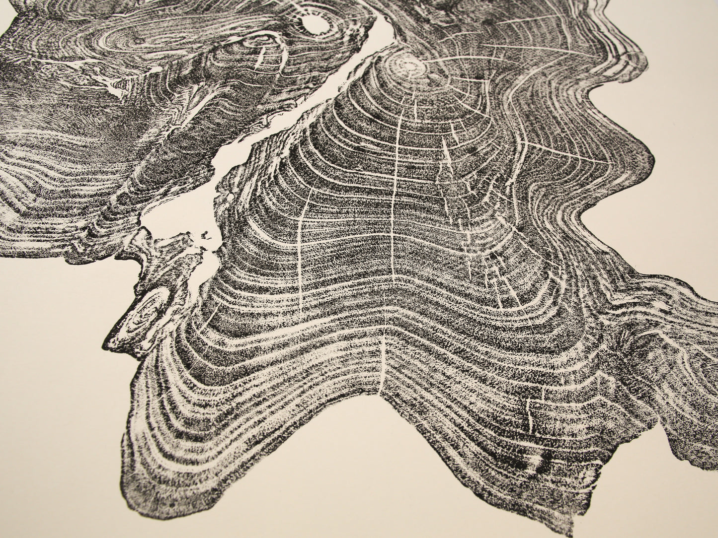 Close-up of a black ink tree root impression monoprint, displaying intricate concentric rings on cream paper.