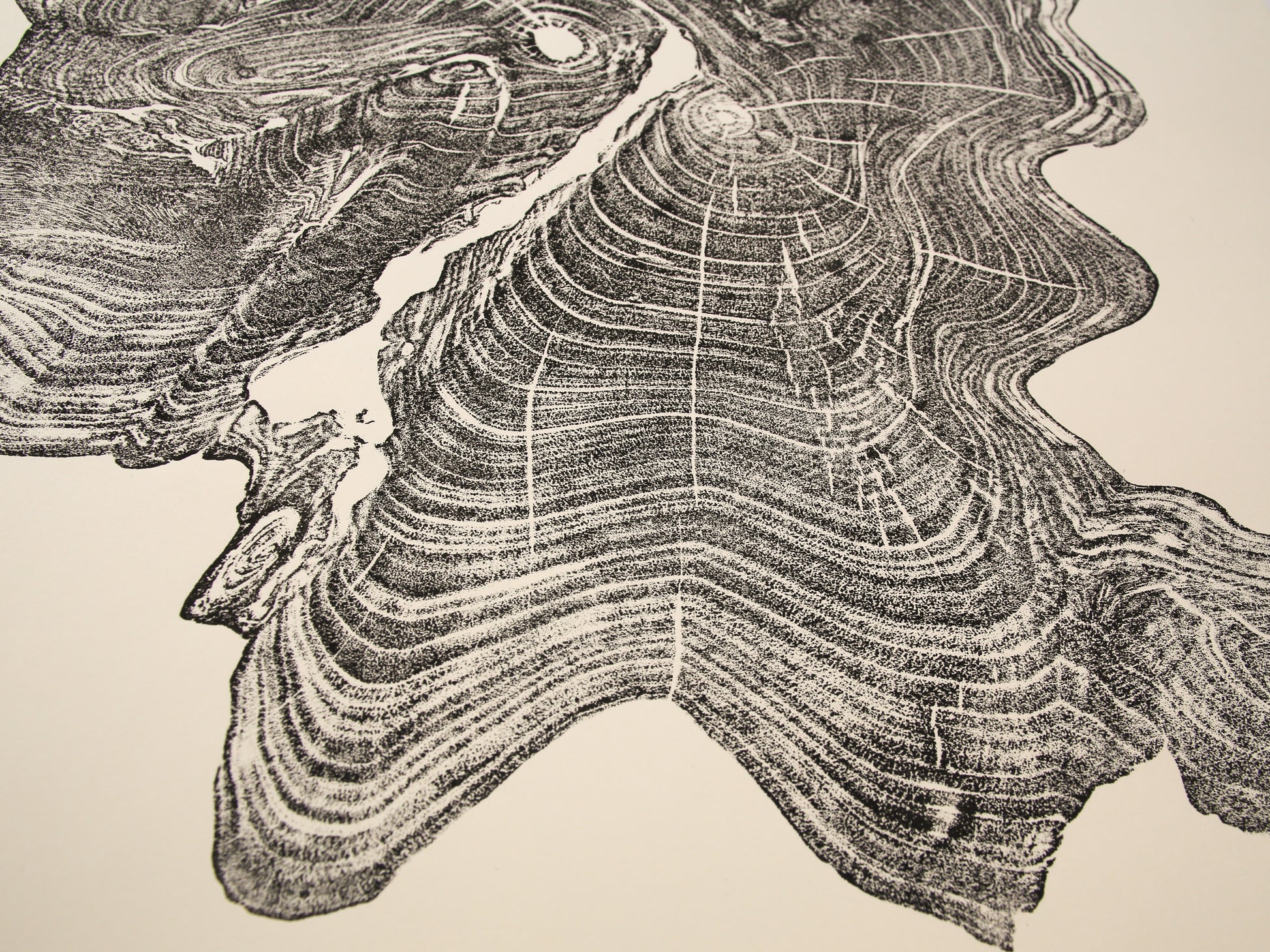 Close-up of a black ink tree root impression monoprint, displaying intricate concentric rings on cream paper.