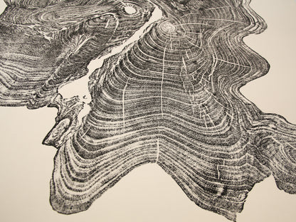 Close-up of a black ink tree root impression monoprint, displaying intricate concentric rings on cream paper.