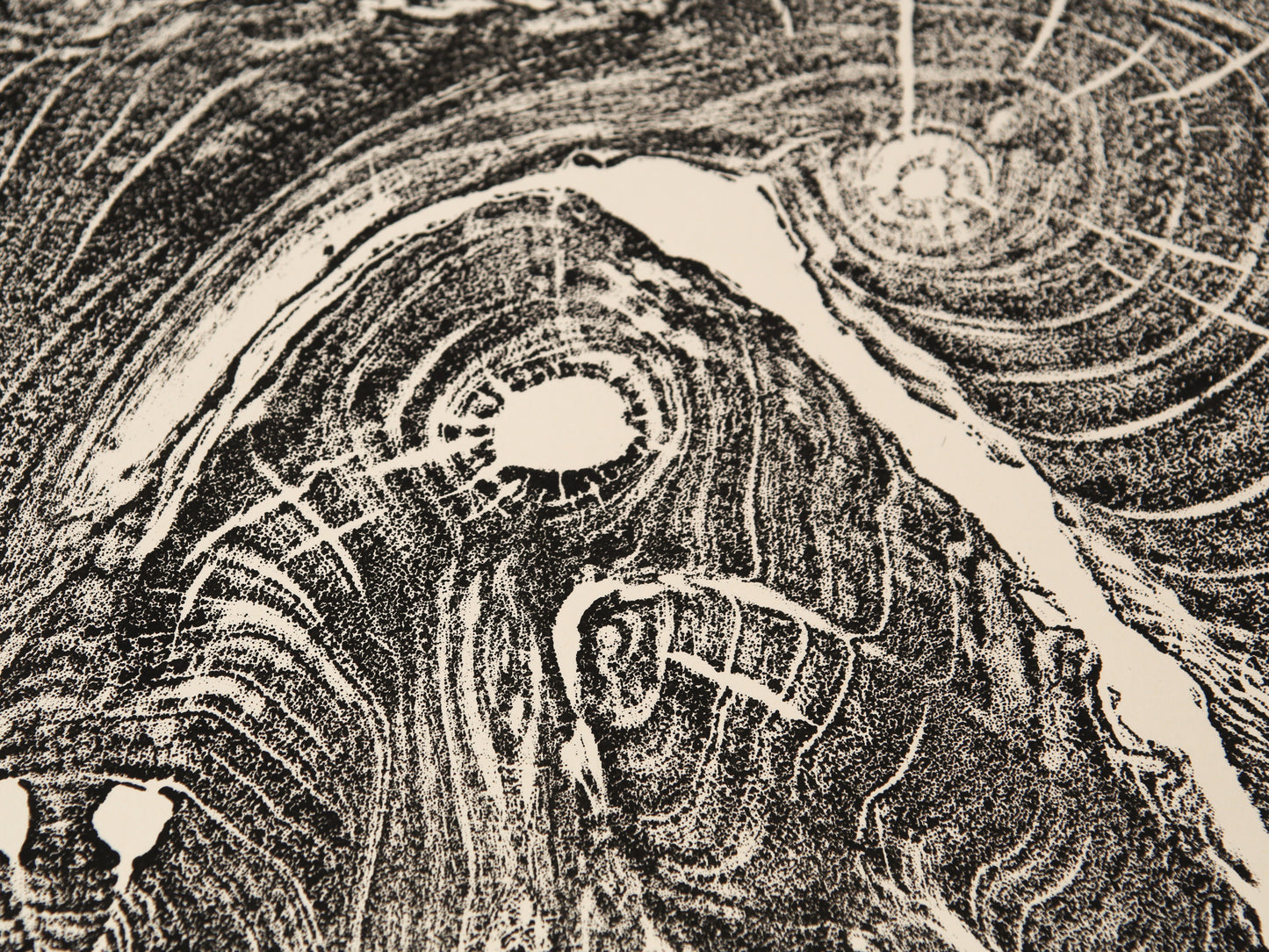 Close-up of a black and cream monoprint, showing a textured tree root impression with swirling grain patterns.