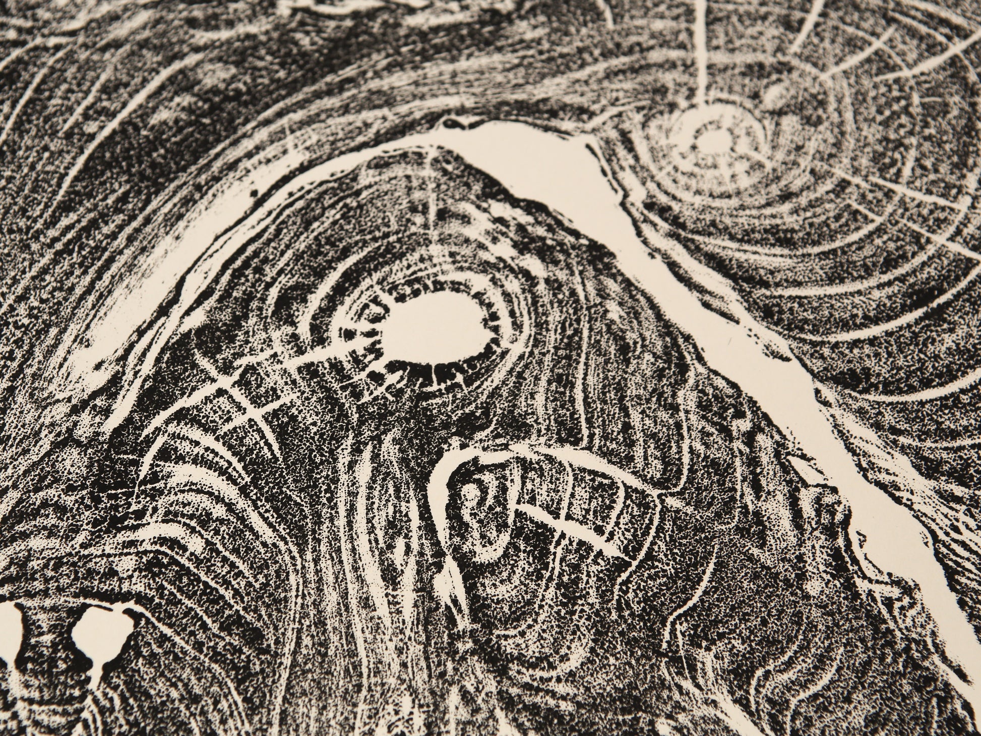 Close-up of a black and cream monoprint, showing a textured tree root impression with swirling grain patterns.