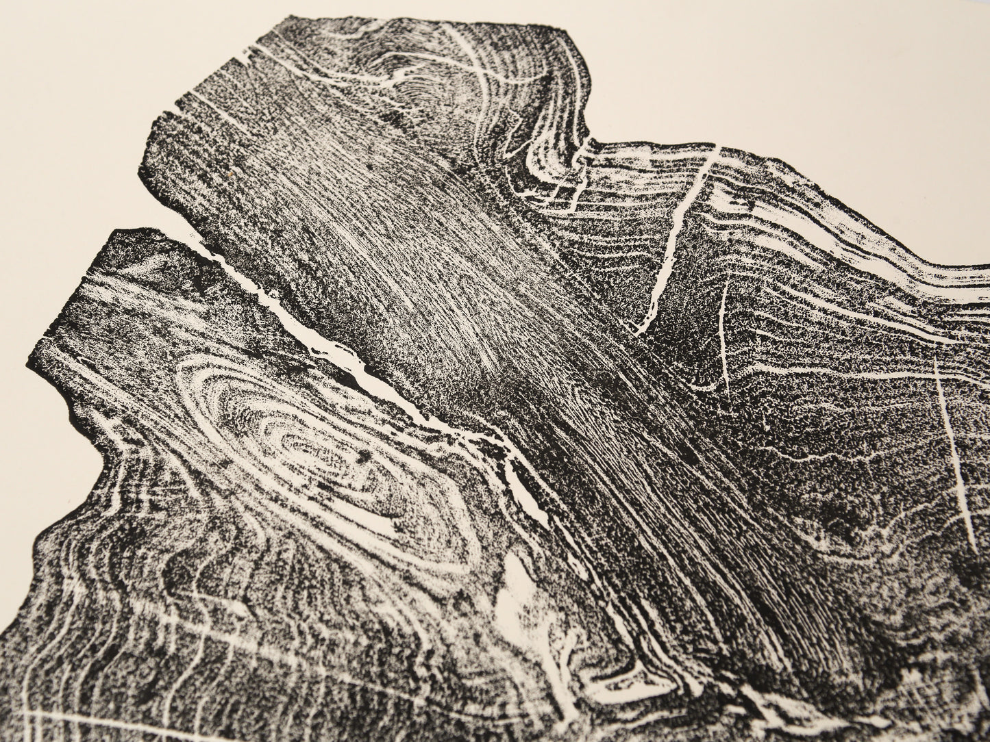 Dark irregular impression of a tree root slice with concentric rings and wood grain on cream paper.