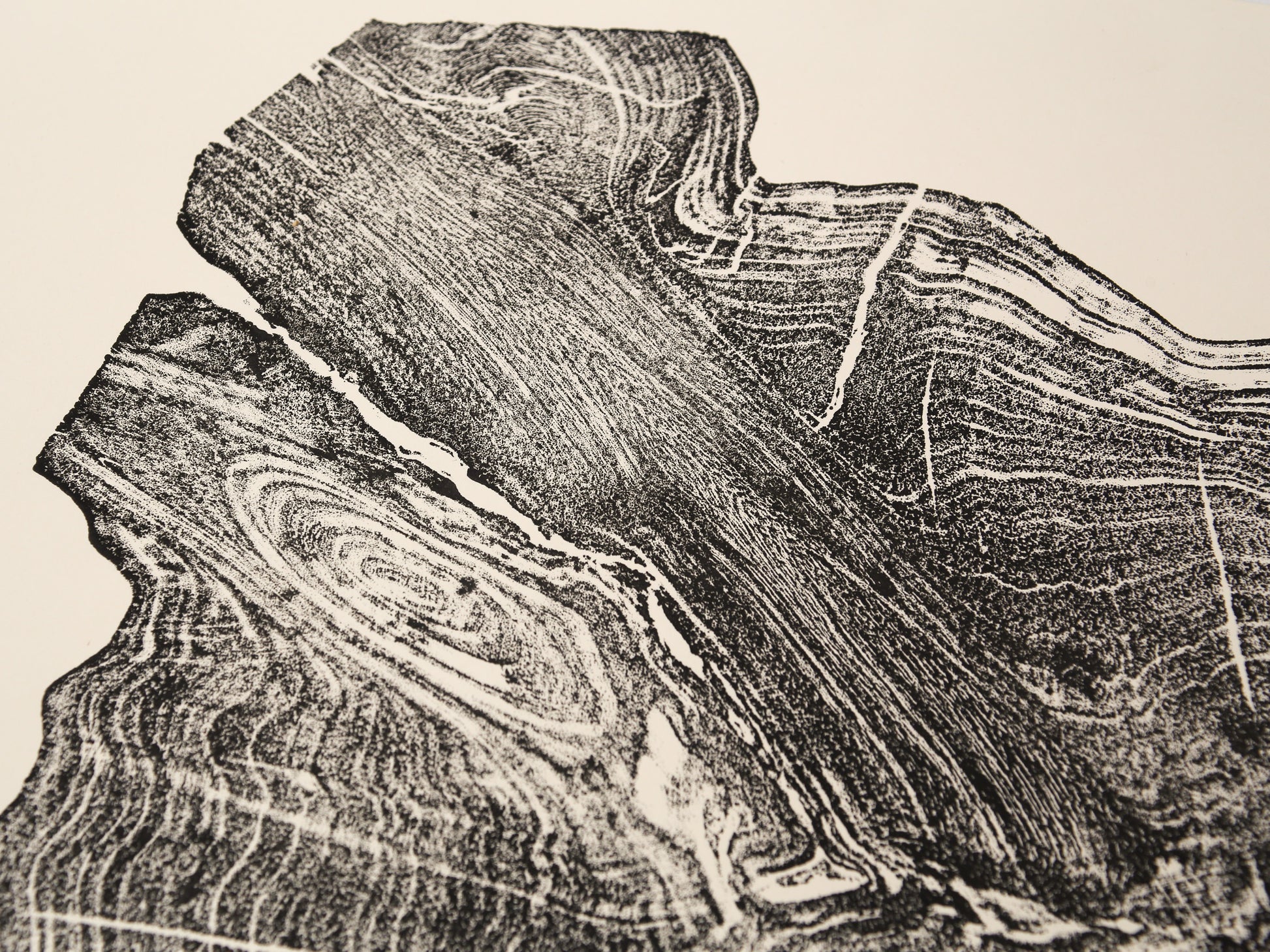 Dark irregular impression of a tree root slice with concentric rings and wood grain on cream paper.