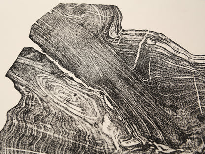 Dark irregular impression of a tree root slice with concentric rings and wood grain on cream paper.