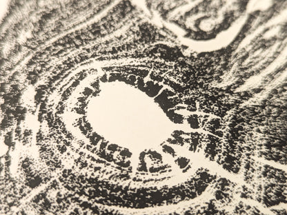 Textured black impression of an irregular tree root slice with granular concentric patterns on cream paper.